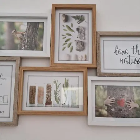 Casa Maielli 펜션 팔레르모